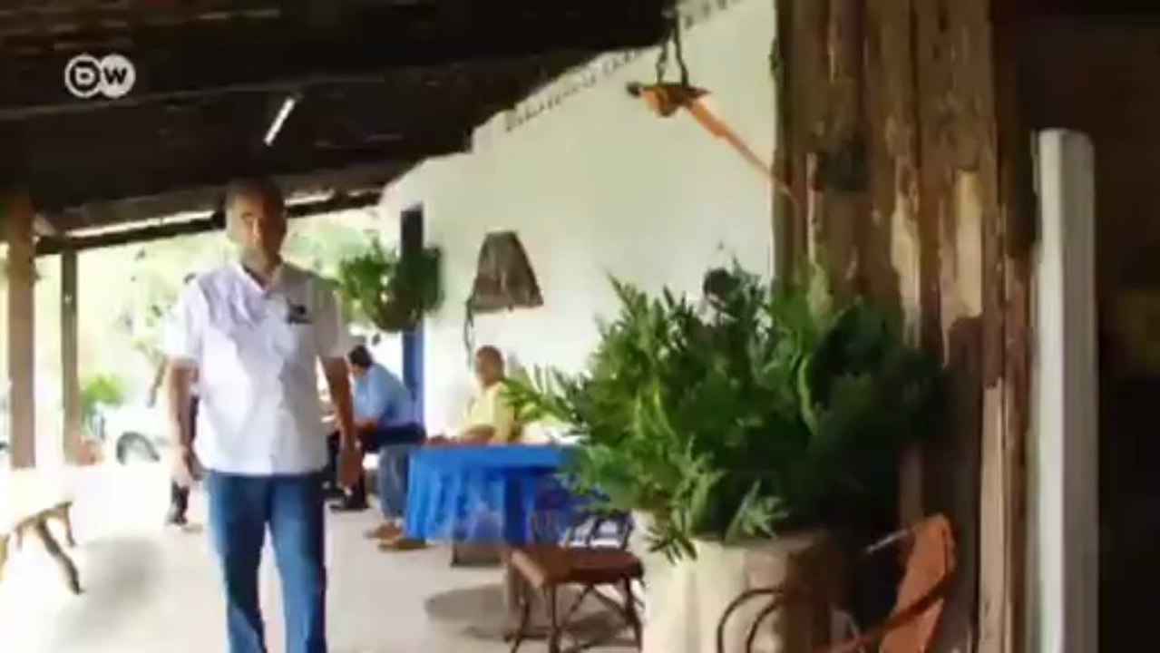 Brasilien: Biomasse in Capela | Global 3000