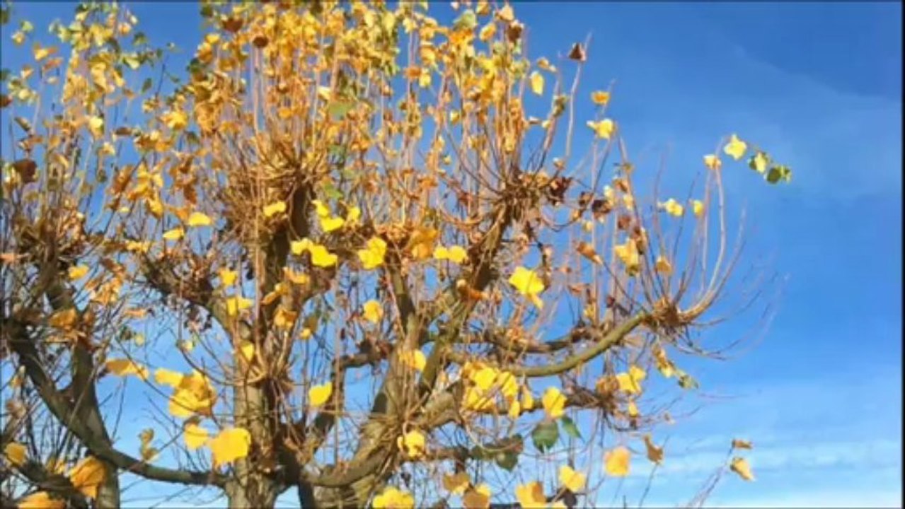 Jan Frederik Warda - Von Hier nach Morgen (Setz die Segel)