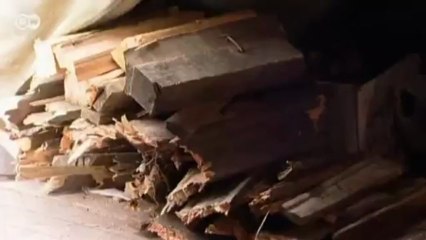 Hábitat global: Rusia septentrional | Global 3000