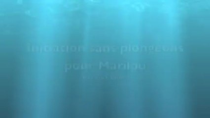 Ski nautique sans plongeons