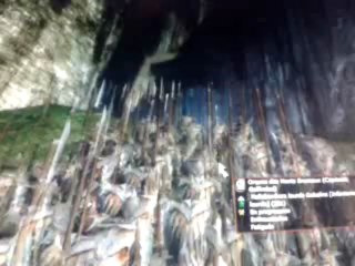 suite découverte  third age total war