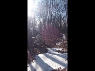 March 2013 Bartram Trail Hikeumentary