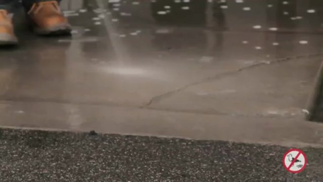 Introduction to Plastic Bird Spikes