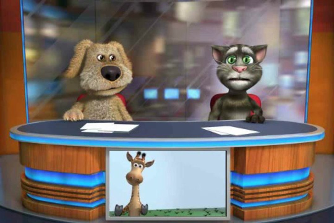 tom et ben news: les chat terroristes