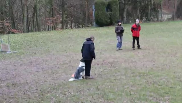 Concours Oeting 10/03/13: position assis en marchant