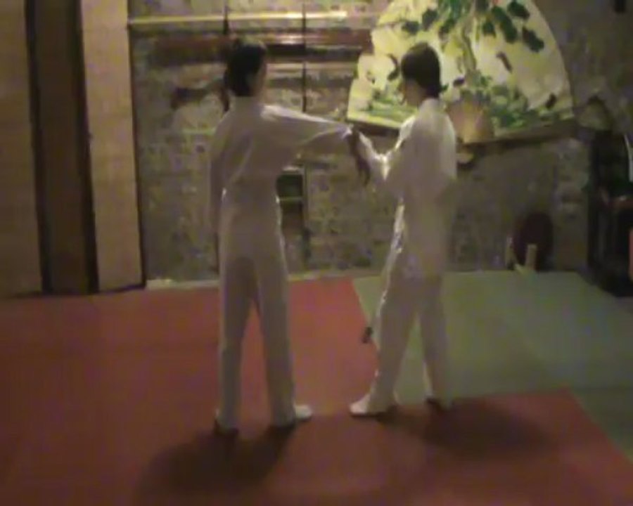 Gyaku hanmi sode mochi uchi dori
