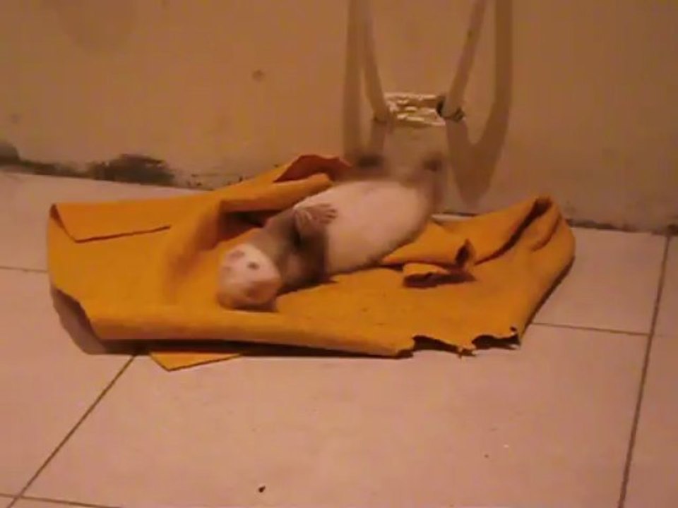 titicaca fait la misère a mon torchon ^^