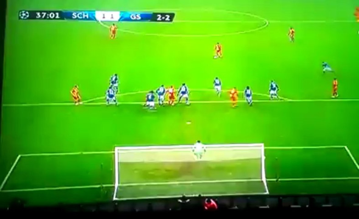 Hamit Altıntop Schalke 04 Golü