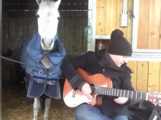 Mikou "L@ Phone Session" - Rose des Vents