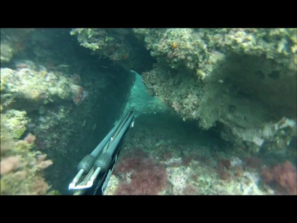 gopro silver