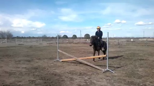 c 'est trop bien le saut d'obstacle!!!