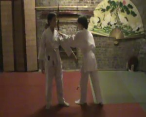 Ai hanmi kata dori henka mi