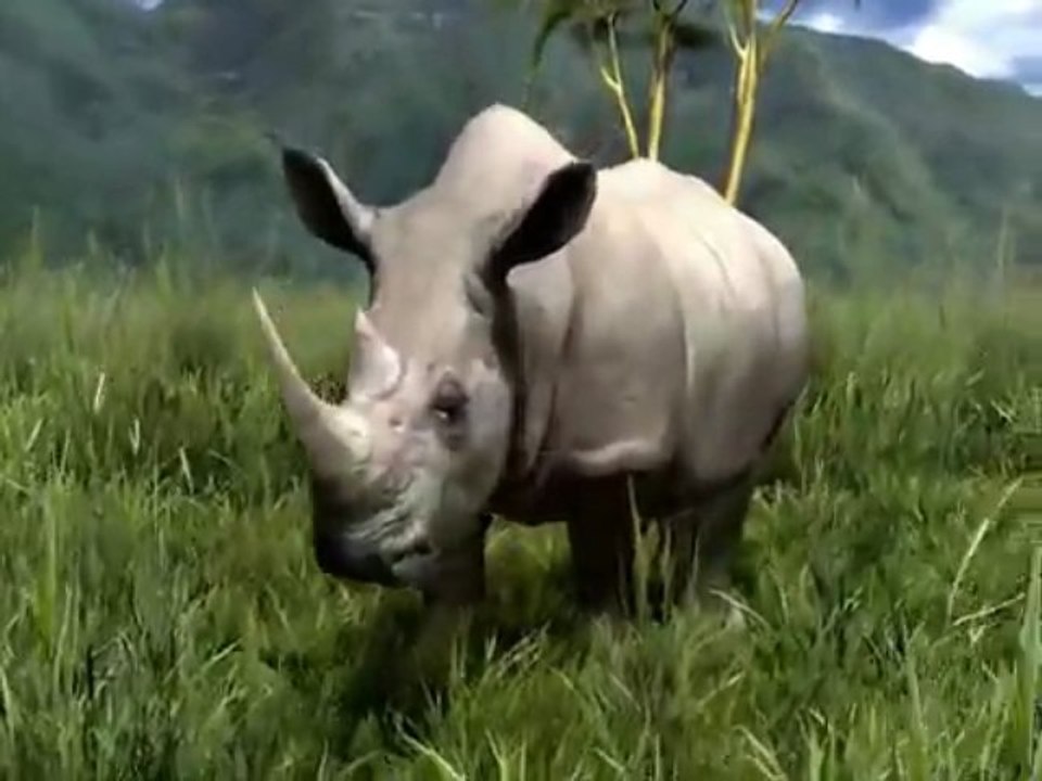africa