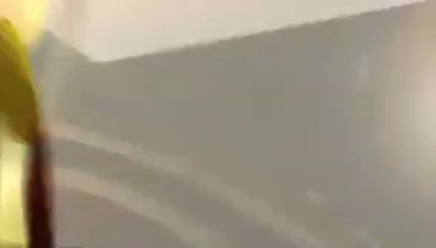 Life of Pi, Rise of the Guardians On DVD