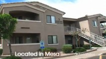Bayview Apartments in Mesa, AZ - ForRent.com