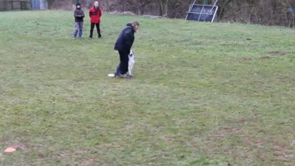 Concours Oeting 10/03/13: l'envoi au carré