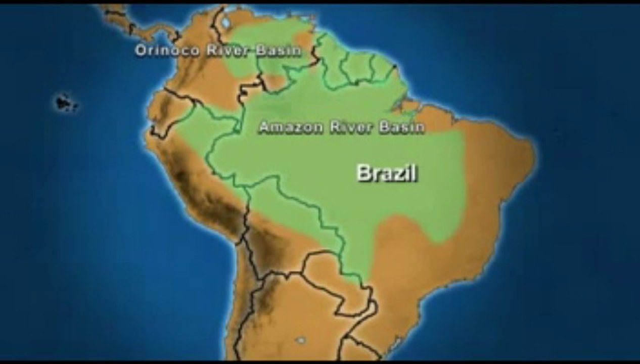 Amazonun Katil Hayvanları