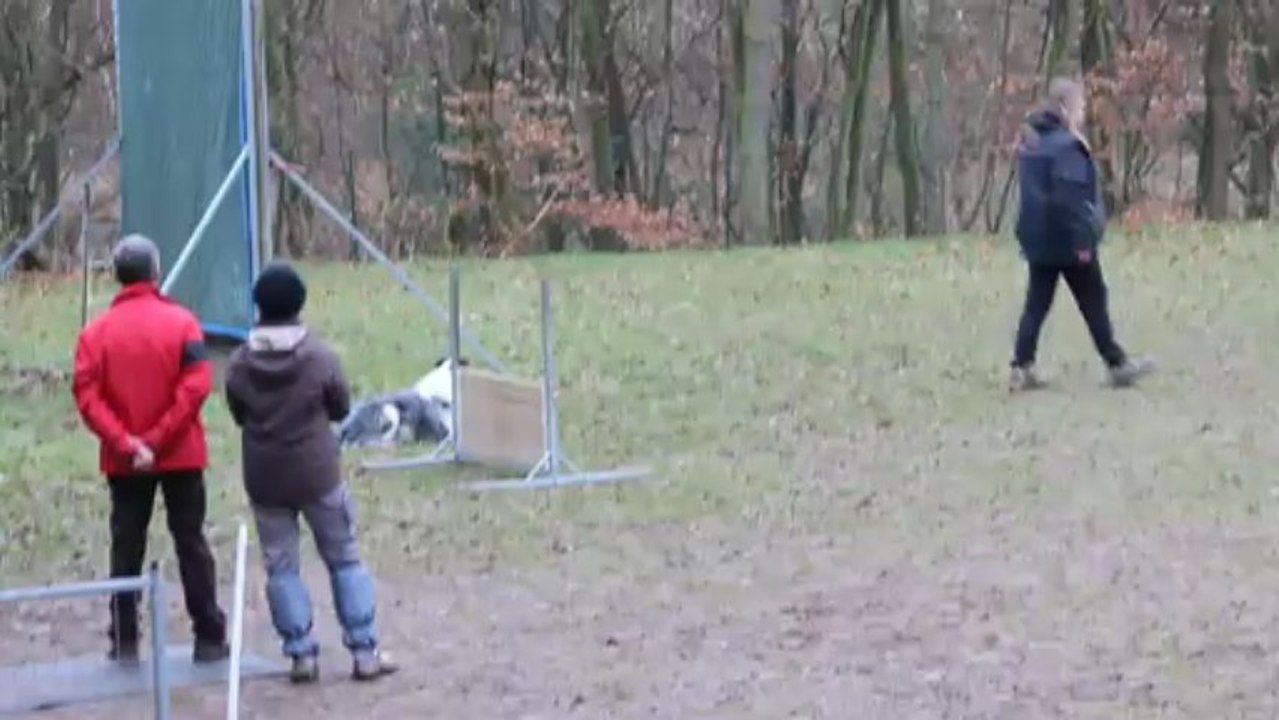 Concours Oeting 10/03/13: les positions