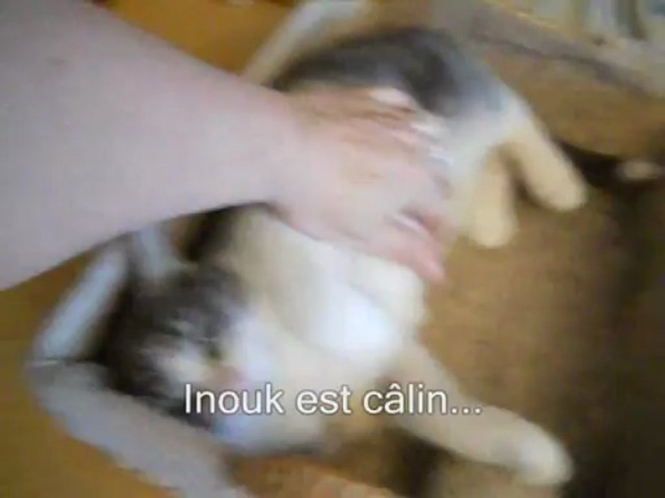 Inouk