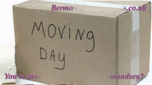 Office Removals Bermondsey Removal Company Man and Van Firm