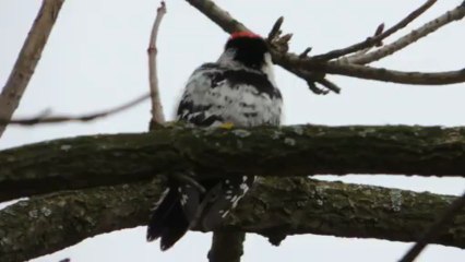 Malý doktor z dolního poohří