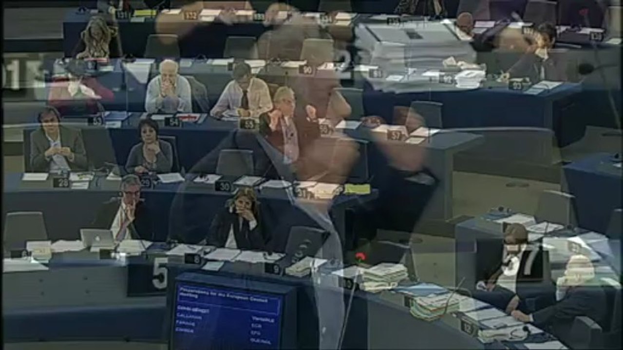 Daniel Cohn-Bendit - 13 mars 2013