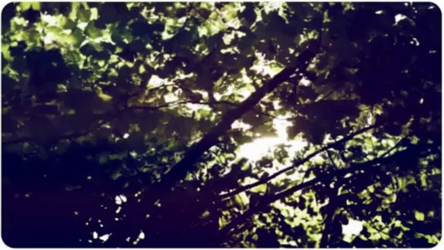 david duchovny ed harris - new david duchovny film - phatnom trailer