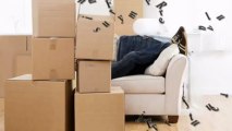 Removals Finsbury Park Removal Company Moving Firm Man and Van