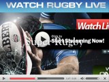 Southern Kings vs Chiefs Live Match
