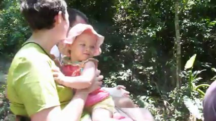 balade en éléphant 2