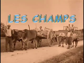 Autrefois Breuillet : les travaux des champs