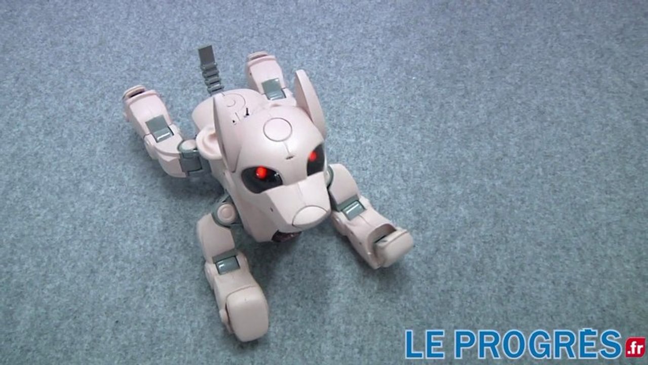 Biennale du design: "Les Androïdes rêvent-ils de cochons électriques?"