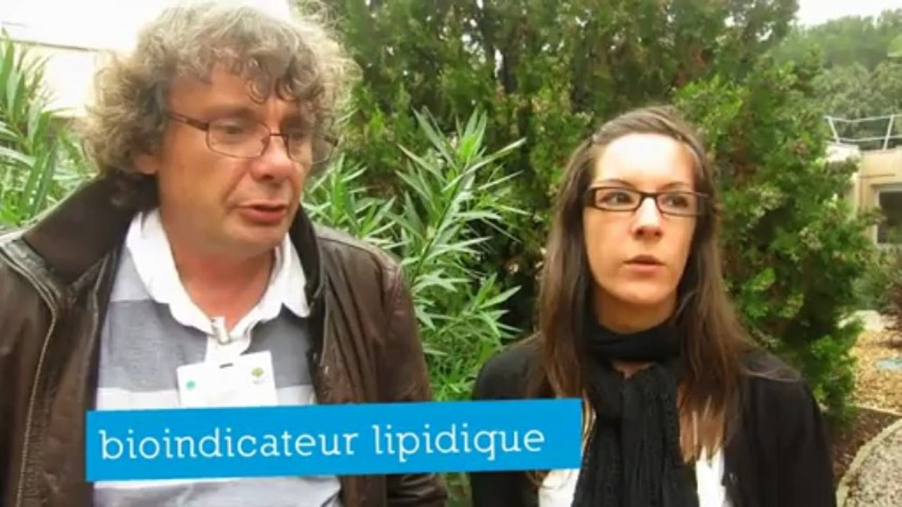 Journes thématiques 2012 de l'UMR