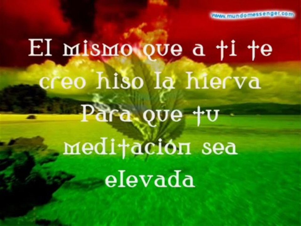 fumando vamos a casa zona ganjah