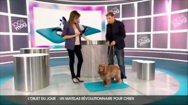 Le tapis auto-rafraîchissant pour chien Canine Cooler