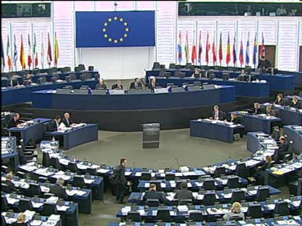 13 mars 2013 Strasbourg-Parlement européen - intervention en session plénière lors du débat préparatoire au Conseil européen des 14 et 15 mars 2013