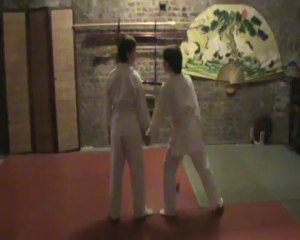 Gyaku hanmi katate dori kihon