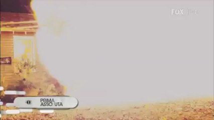 The Glades 2 - Dal 28 maggio su FOX