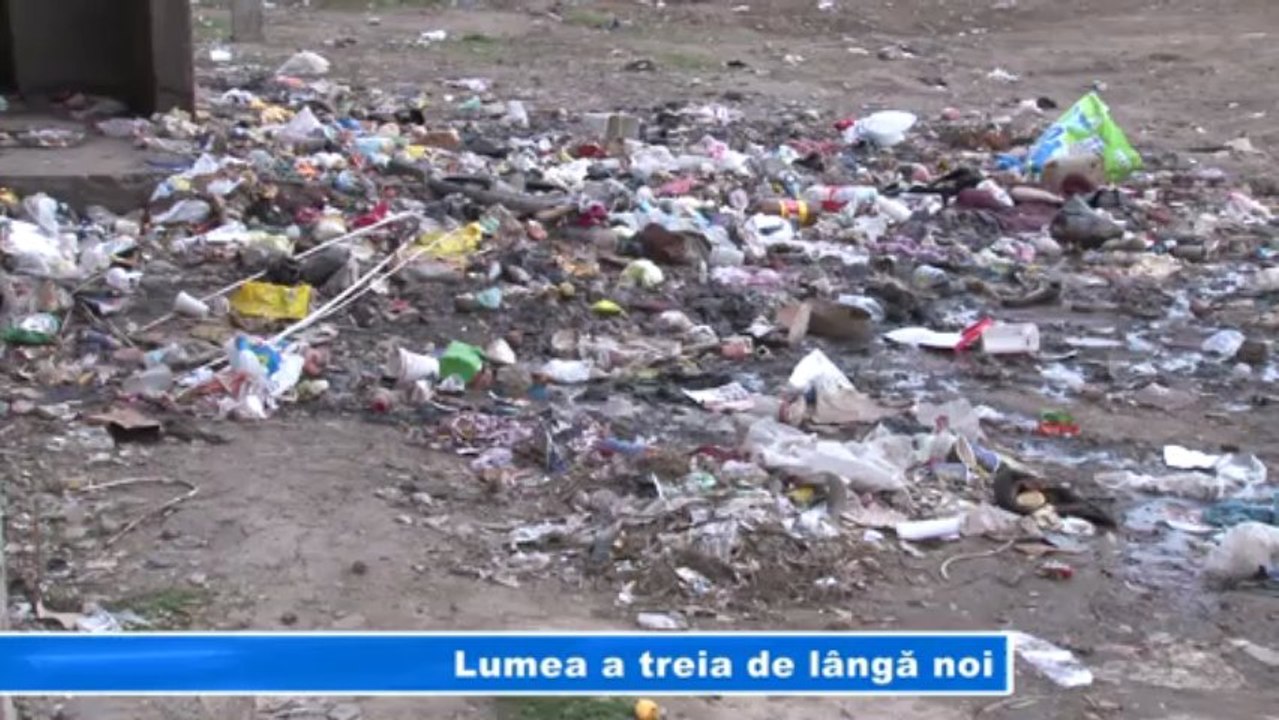 LUMEA A TREIA