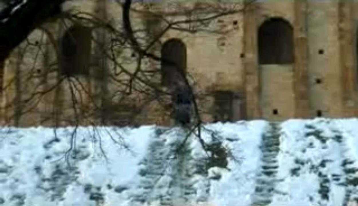 Alexneige2