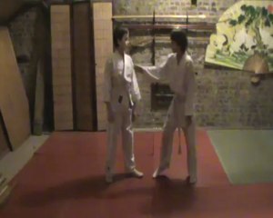 Gyaku hanmi mune dori kihon