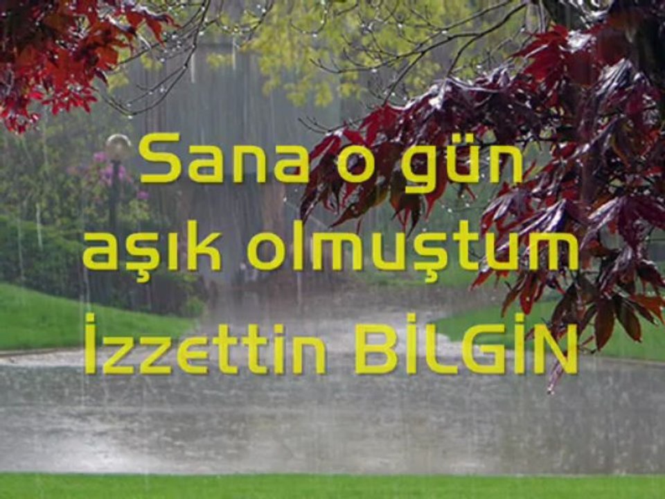 Sana o gün aşık olmuştum - İzzettin Bilgin