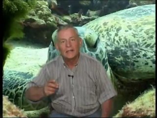 MI ATOTONILCO BONITO "LOS RECURSOS DE MÉXICO"