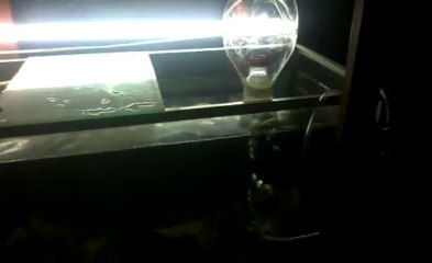 DIY nano skimmer