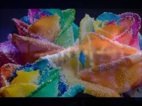 Nasheed italiano Rinato in un nuovo giorno Mamdouh