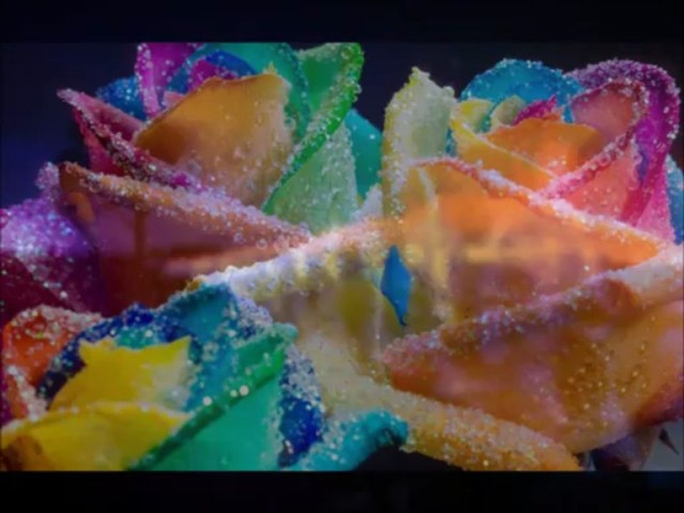 Nasheed italiano "Rinato in un nuovo giorno" Mamdouh