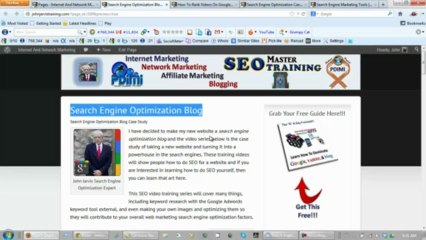 Search Engine Optimization Blog Case Study Continues 1