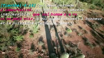 jesus est il dieu dans la bible?