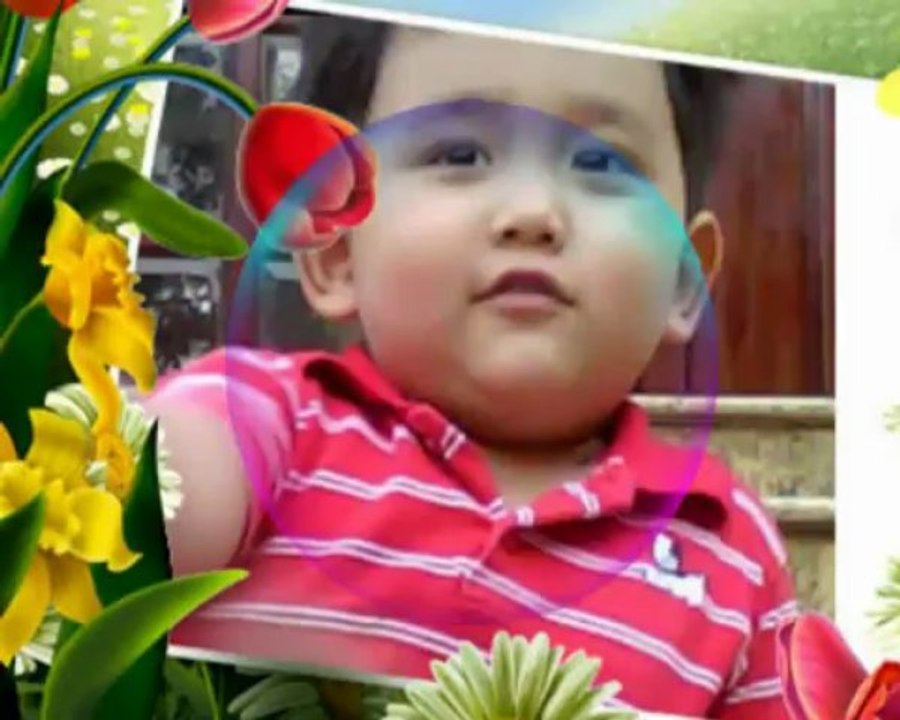 Bin4FLV