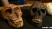 Did Big Eyes Lead to Neanderthals' Extinction?